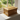 Solid Single Paulownia Wood Pillared Style Ashes Cremation Urn/Casket - 29 x 20 x 14.5cm
