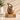 Brown & Gold Glossy Ceramic Adult Ashes Urn - 28 x 21.5 x 21.5cm