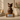 Dark Brown & Silver Metal Cat Ashes Urn - Nuna on a memorial plinth with a silver plaque