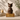 Dark Brown & Silver Metal Cat Ashes Urn - Nuna on a memorial plinth with a brass plaque