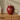 Crimson Soul Metal Pet Ashes Urn - 17.5 x 15.5 x 15.5cm